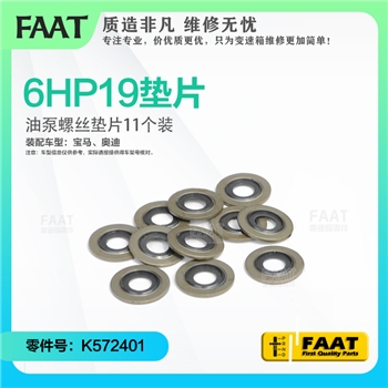 垫片/油泵螺丝垫片11个