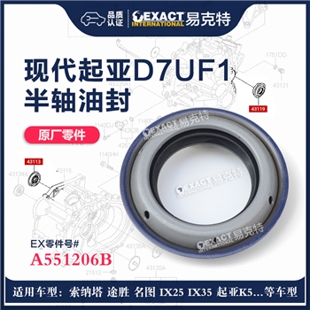 油封/半轴油封L/R 铁