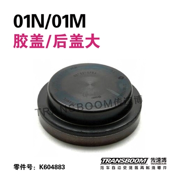 胶盖/后盖大