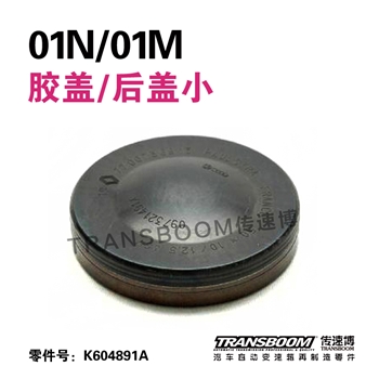 胶盖/后盖小